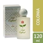 Petit/Enf.Coloni/120