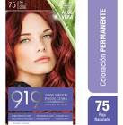 Tintura 919 Nº 55 Rojo Calido