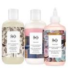 PACK ROBY SHAMPOO + ENJUAGUE X 400