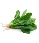 Espinaca Versalles X 800