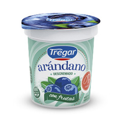 Yogurt tregar arandano descremado