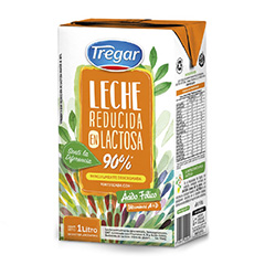 LECHE TREGAR L/V DESLAC. 1LT