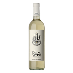 BRAVIO BY UXMAL SAUVIGNON BLANC X 750 CC