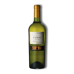 Uxmal Sauvignon Blanc x 750 ml