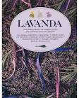 Glostora/Lavanda/125Ml