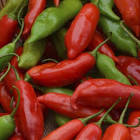 AJIES RICO GUSTO 330 GR.