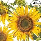 Diel Servilletas Individ 40 Un.