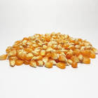 Maiz Pisingallo X1Kg