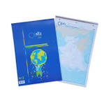 MAPA  TRIUNFANTE VARIOS NRO 5 X 20 HJS 