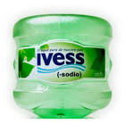 AGUA IVES -SODIO 6 ltrs 