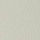 Galle.Marolio Basto/Lec X 400