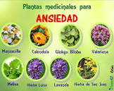 Hierbas Medicinales La Paz Sedante