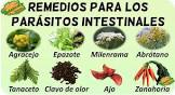 Hierbas Medicinales La Paz Parasitos