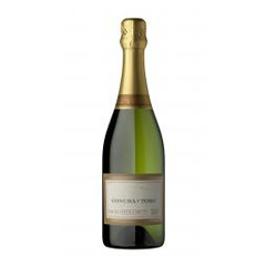 Champagne Concha Y Toro Extra Brut