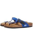 Desod Inod El Coloso Azul X 40