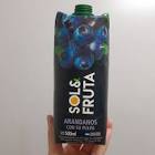 SOLO FRUTA ARANDANOS 1,4lt3500