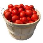 Tomate Premium Denaro X 217