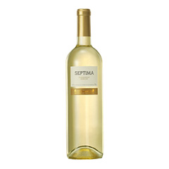 VINO SEPTIMA VAR. CHARDONNAY 750ML