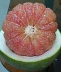 Daos Pomelo Rosado x 6