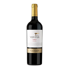 Vino Tinto Malbec Ventus 750 Ml