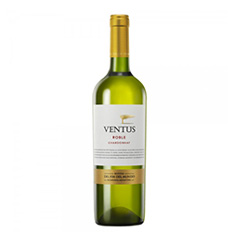 VINO VENTUS ROBLE CHARD. 750 ML
