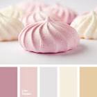 Codul Paleta Estrella N1 x 12