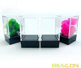 Ladrillos en caja de plastico 