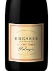 VINO BRESSIA PINOT NOIR 750 CC
