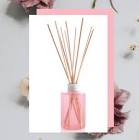 DIF. AMB. MARIAH KLARA NARDO