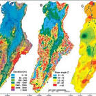 magdalena gaona dulce de leche