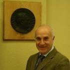 Treye Jarro Escandinavo