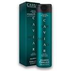 Shampoo Cabellos Grasos x 260ml FIDELITE 