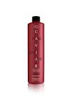 Conditioner Cabellos Teñidos x 1000ml FIDELITE 