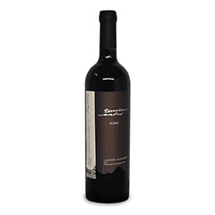 TERRUÑO ANDINO ROBLE CABERNET