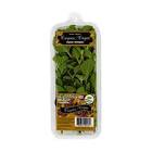 Oregano Valle Andino x10 x25g