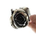 Aceituna Desc Terra/Nostra X250G