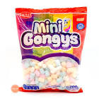 mini gongys
