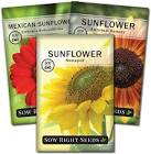 Semilla Girasol Siembra Y Cultivo 250 Gr