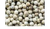 Pimienta Blanca En Grano Siembra Y Cultivo 200 Gr