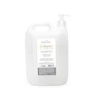 SHAMPOO ALMENDRA x 1900ml (con Bomba) 