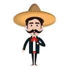 Camel genuine cities 20